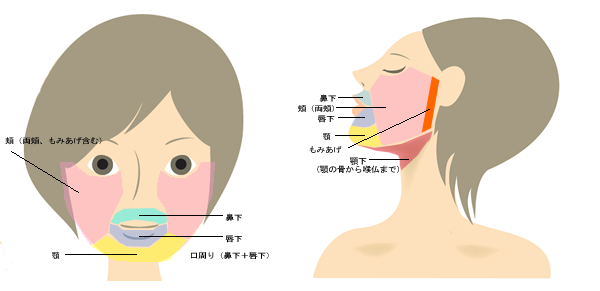 髭脱毛プラン部位 正面図