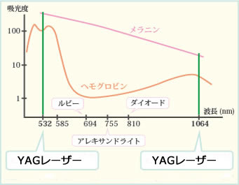 各波長のメラニンとヘモグロビンの反応性