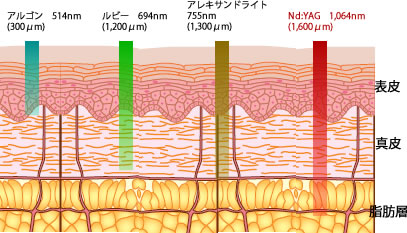 波長の長さと反応する深さ
