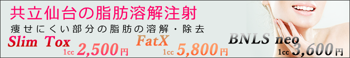 脂肪溶解注射BNLS neo ,FatX,SLIM TOX