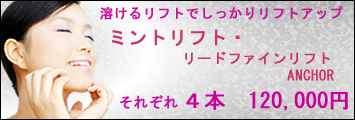 ミントリフト　リードファインリフト