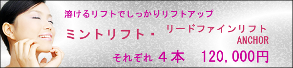 ミントリフト　リードファインリフト