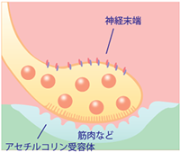 模式図1