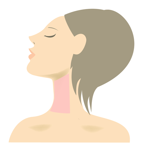 両腕脱毛プラン部位 正面図