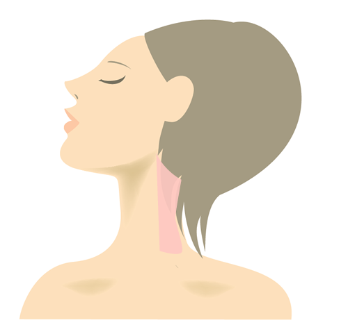 両腕脱毛プラン部位 正面図