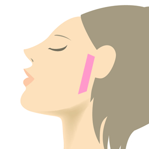 両腕脱毛プラン部位 正面図