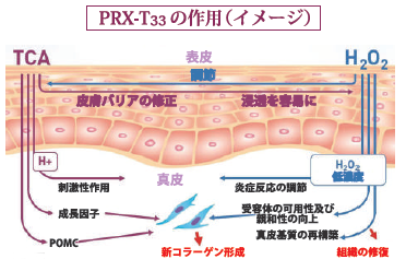 施術前 施術後